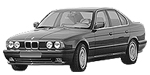BMW E34 P0A71 Fault Code